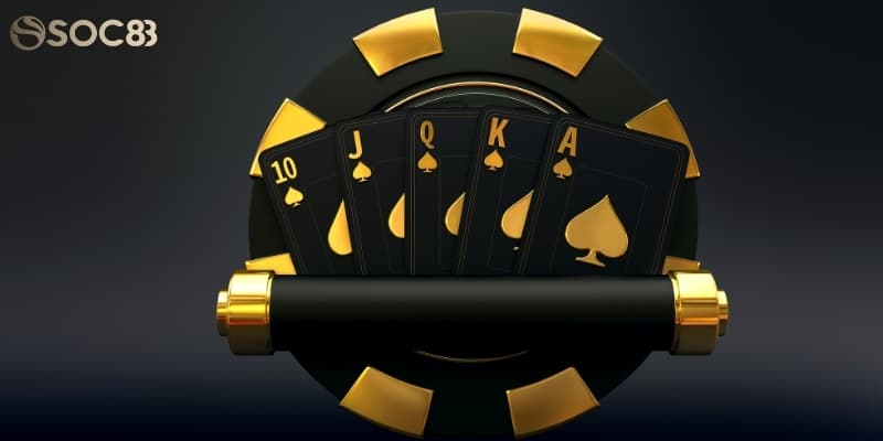 Soc88 lưu ý quan trọng